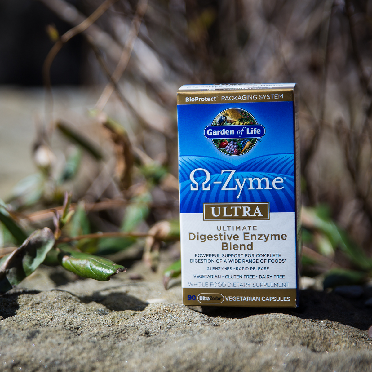 Digestive Enzymes
