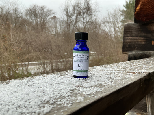 Basil Essential Oil